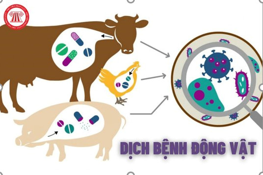 Kế hoạch phòng, chống dịch bệnh động vật trên cạn phường EaTam năm 2024.